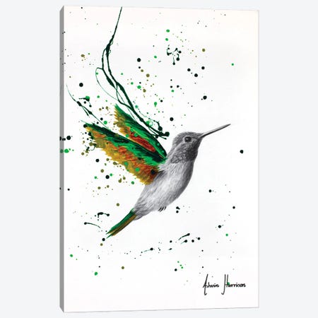 Healing Hummingbird Canvas Print #VIN1083} by Ashvin Harrison Canvas Art Print