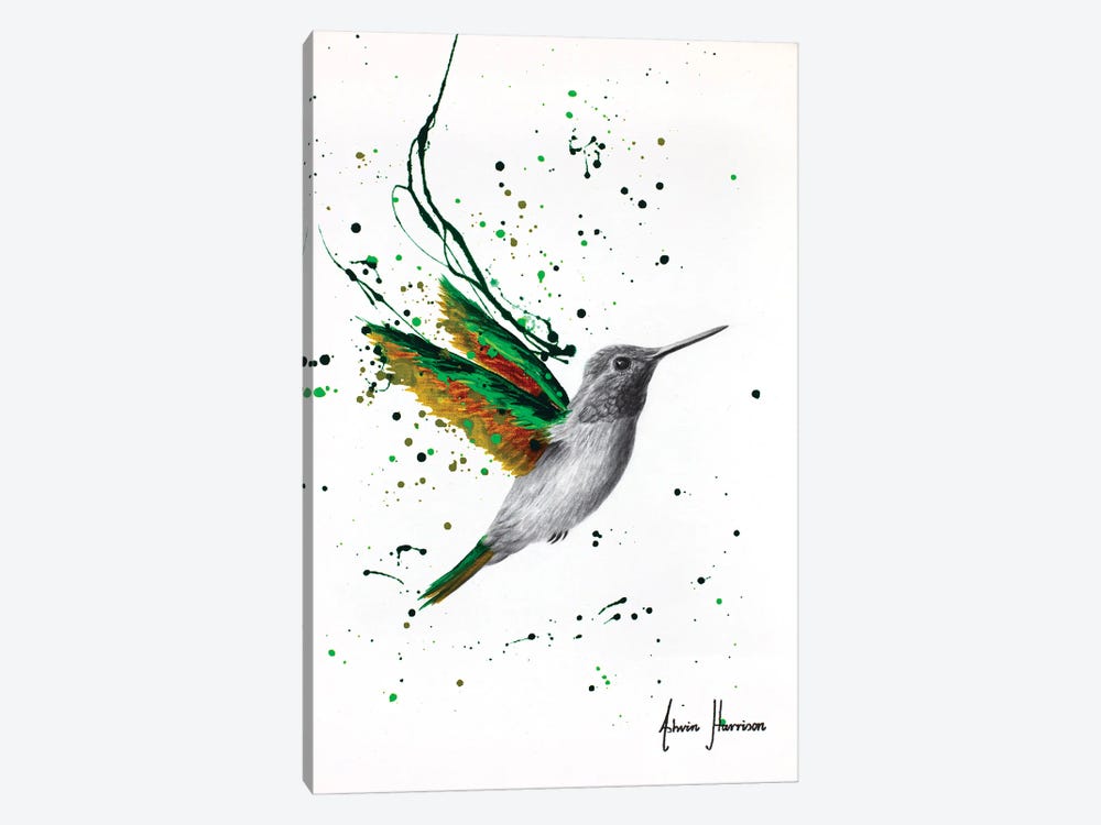 Healing Hummingbird by Ashvin Harrison 1-piece Canvas Wall Art