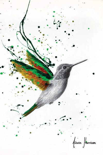 Hummingbirds: Healing Hummingbird by Ashvin Harrison