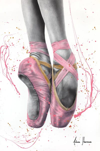 Ballet: Dance Destiny by Ashvin Harrison