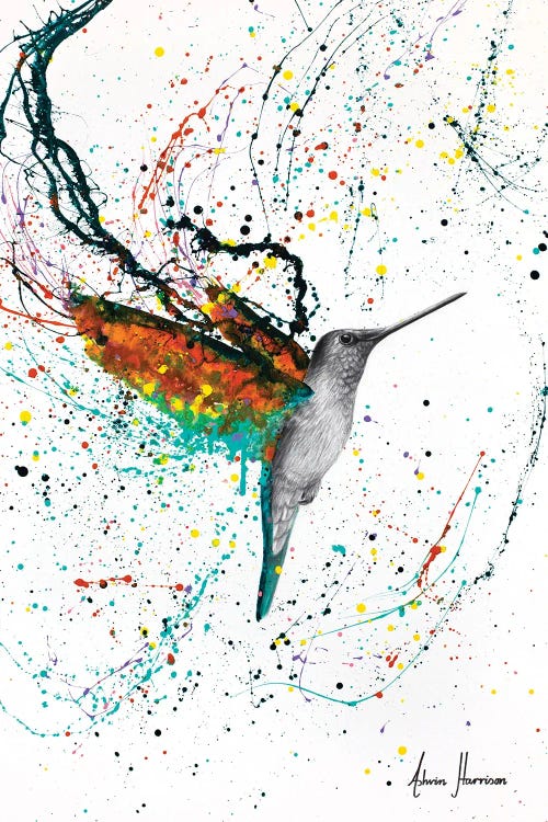 Hummingbird by Ashvin Harrison wall art