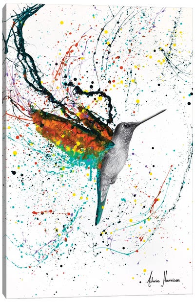 Hummingbird Canvas Art Print - Ashvin Harrison