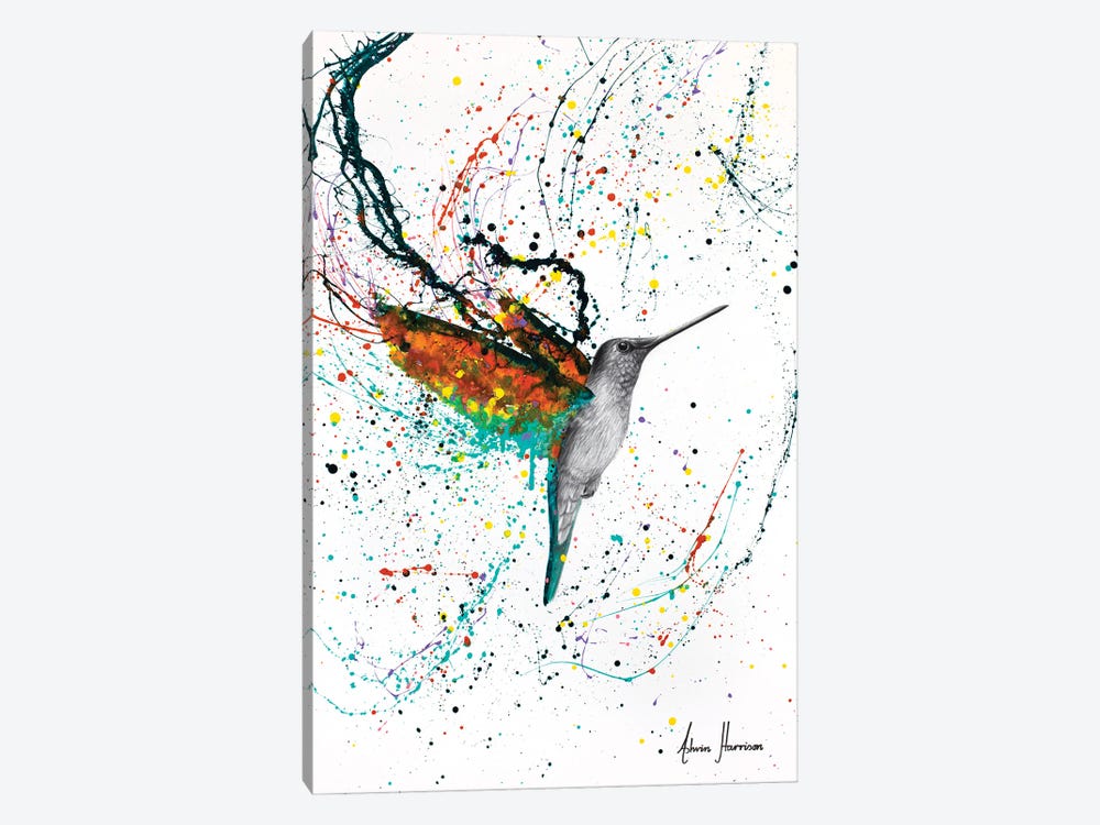 Hummingbird by Ashvin Harrison 1-piece Canvas Artwork