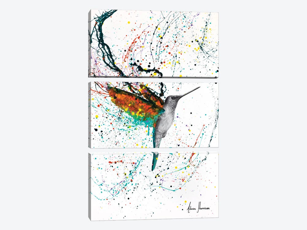 Hummingbird by Ashvin Harrison 3-piece Canvas Art
