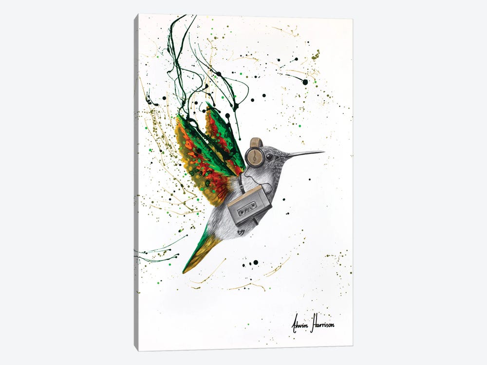 Hummingbird Beats by Ashvin Harrison 1-piece Canvas Art
