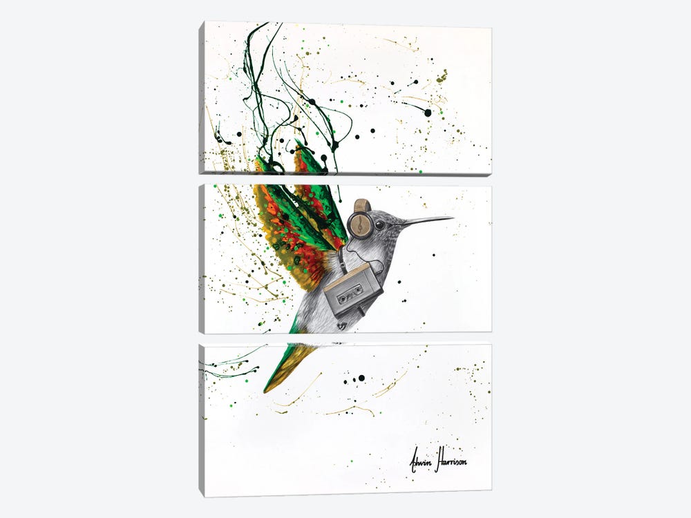 Hummingbird Beats by Ashvin Harrison 3-piece Canvas Art