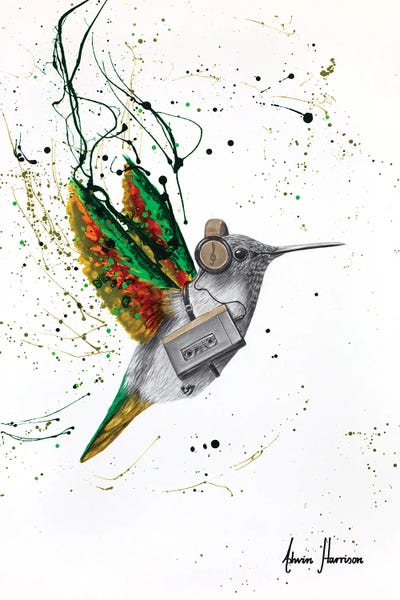 Cassette Tapes: Hummingbird Beats by Ashvin Harrison