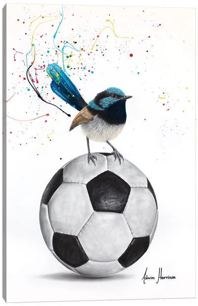 World Cup Wren Canvas Art Print - Wren Art