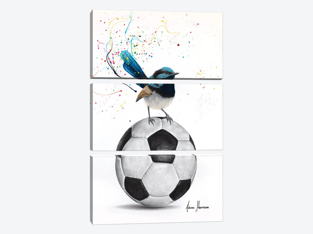 World Cup Wren by Ashvin Harrison 3-piece Art Print