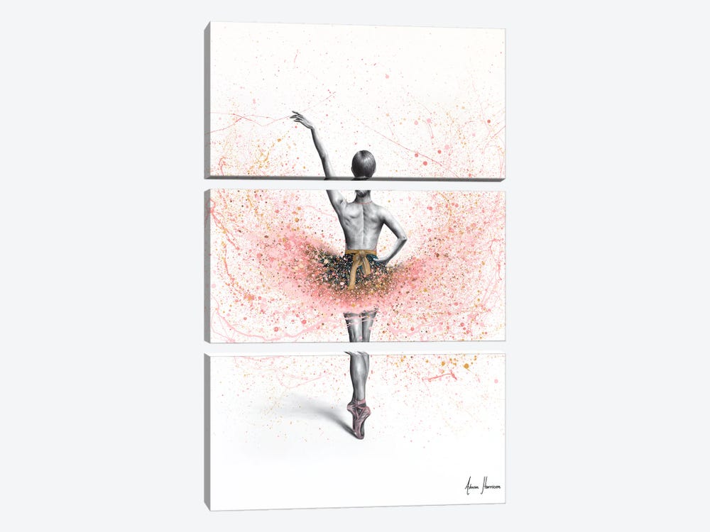 Barre Bella Ballerina by Ashvin Harrison 3-piece Art Print