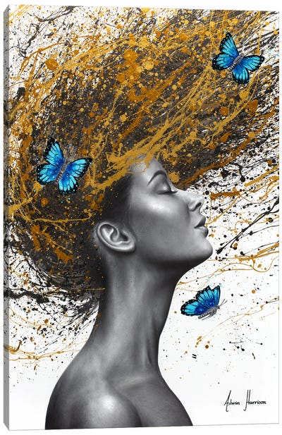 Butterfly Dreams Canvas Art Print - Ashvin Harrison