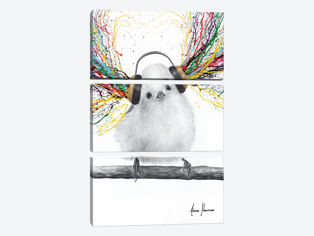 Happy Fluffy- Funky Beats by Ashvin Harrison 3-piece Canvas Print