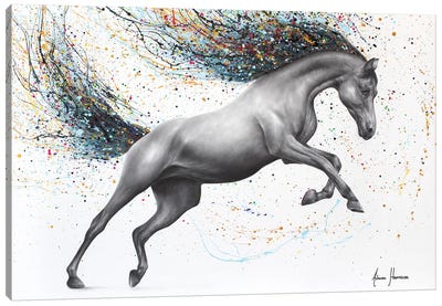 The Horse Dreamer Canvas Art Print - Ashvin Harrison