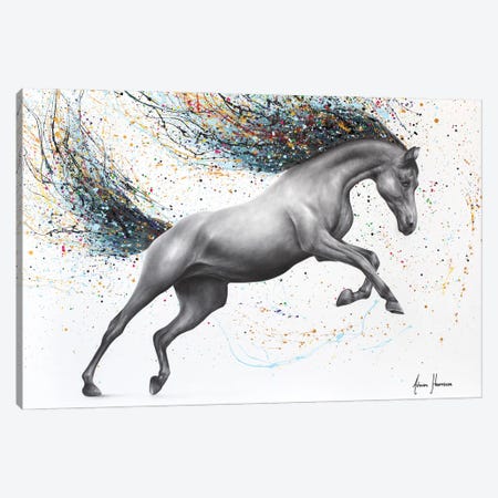 The Horse Dreamer Canvas Print #VIN1157} by Ashvin Harrison Canvas Wall Art