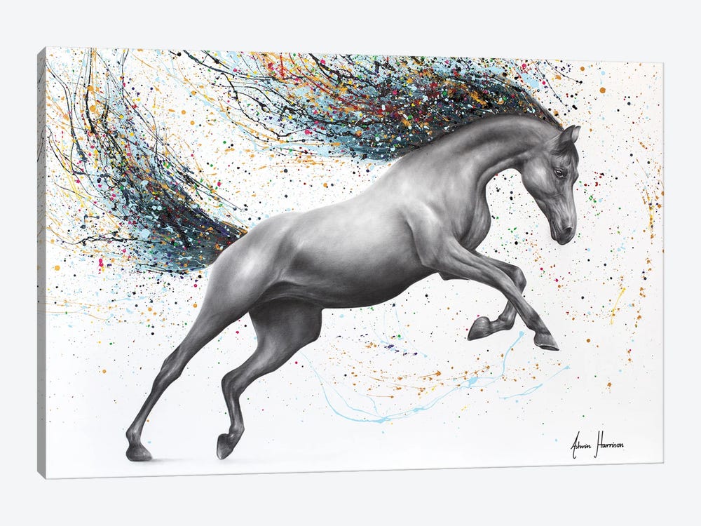 The Horse Dreamer by Ashvin Harrison 1-piece Canvas Art