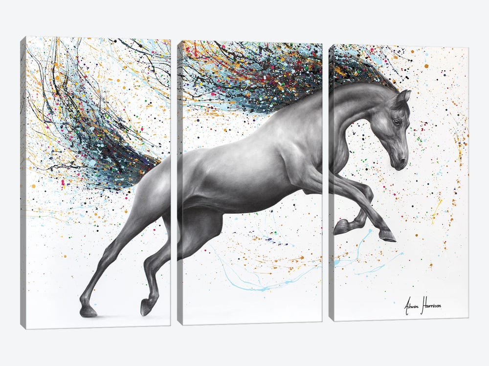 The Horse Dreamer by Ashvin Harrison 3-piece Canvas Wall Art