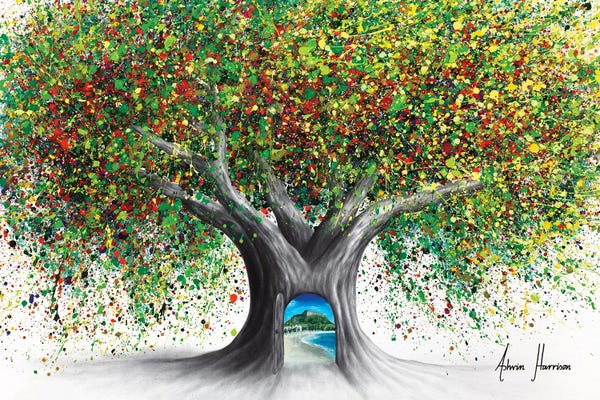 Secret Tree To Mount Maunganui