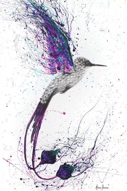 Flying Ace by Ashvin Harrison wall art