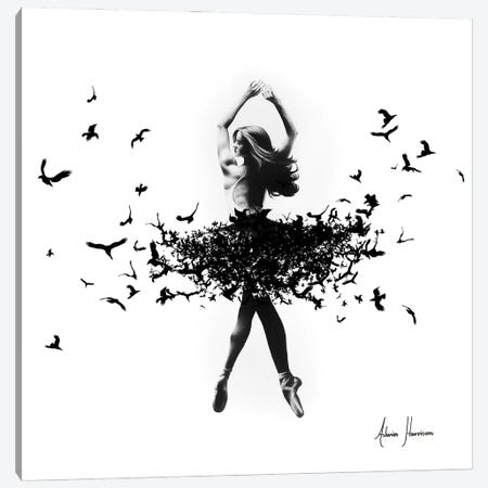 Free Bird Dance Canvas Print #VIN130} by Ashvin Harrison Canvas Print