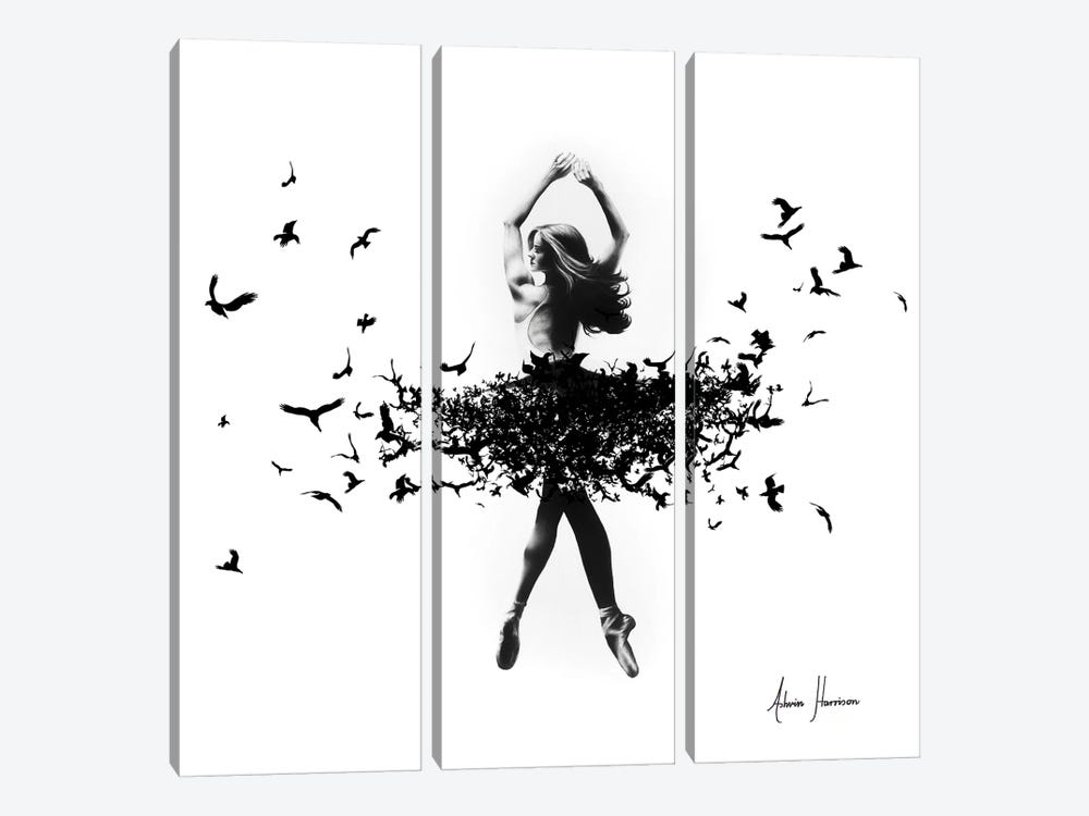 Free Bird Dance by Ashvin Harrison 3-piece Canvas Artwork