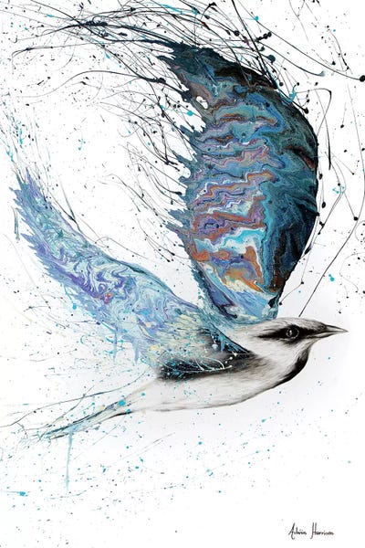 Hummingbirds: Proud Traveller by Ashvin Harrison