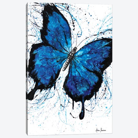 Beach Butterfly Canvas Print #VIN139} by Ashvin Harrison Canvas Print
