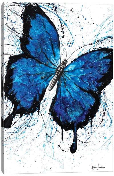 Beach Butterfly Canvas Art Print - Black, White & Blue Art