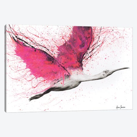 Bird Of The Pink Skies Canvas Print #VIN140} by Ashvin Harrison Canvas Art
