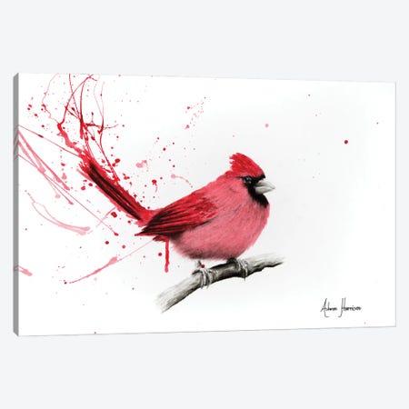 Curious Cardinal Canvas Print #VIN143} by Ashvin Harrison Canvas Wall Art