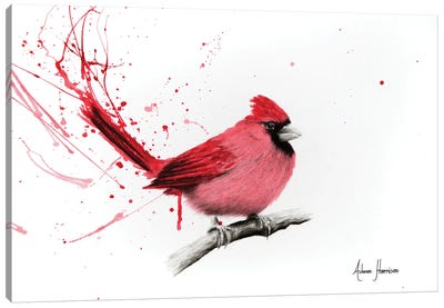 Curious Cardinal Canvas Art Print - Cardinal Art