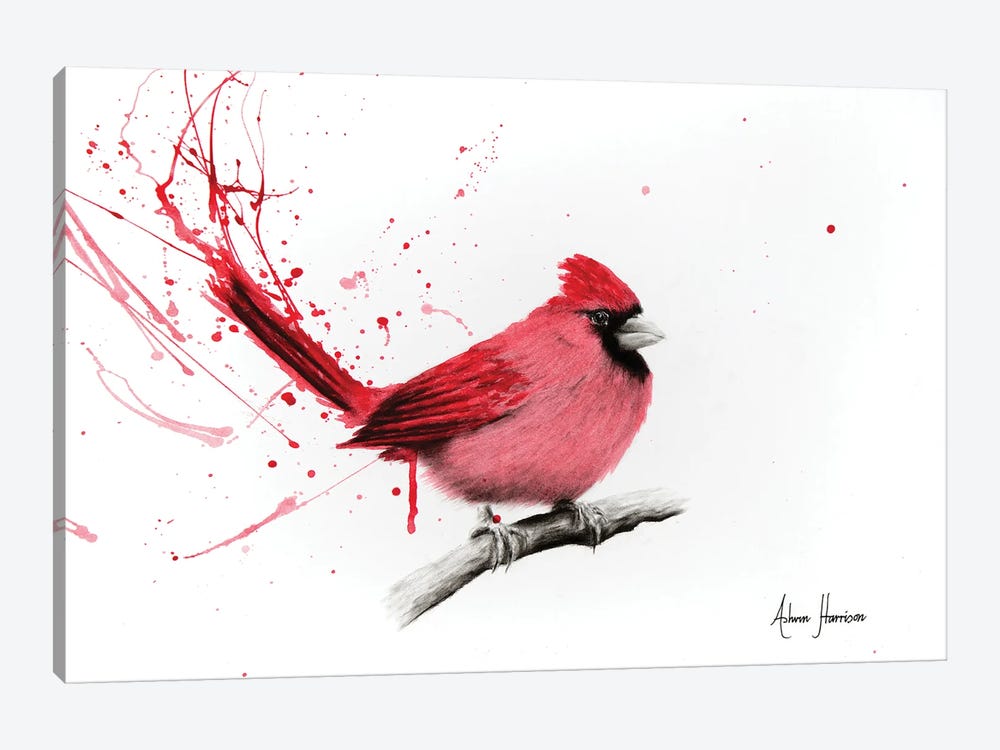 Curious Cardinal by Ashvin Harrison 1-piece Canvas Art