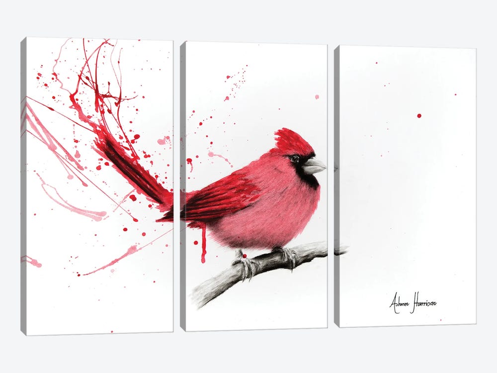 Curious Cardinal by Ashvin Harrison 3-piece Canvas Art