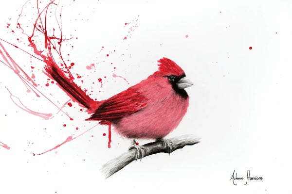 Cardinals: Curious Cardinal by Ashvin Harrison