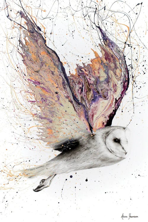 Heart Winged Owl by Ashvin Harrison wall art