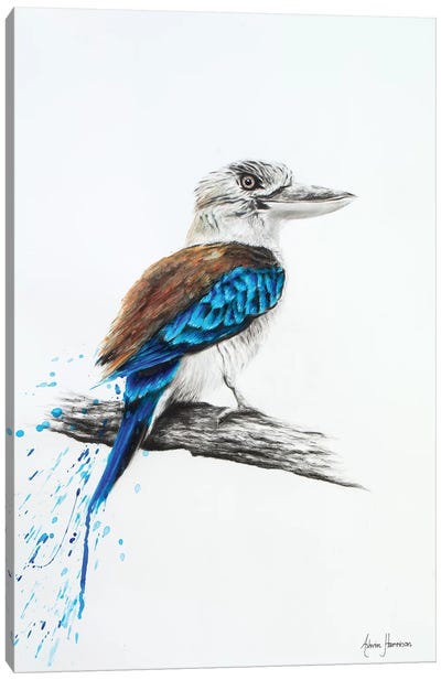 Blue Kookaburra Canvas Art Print - Kookaburras