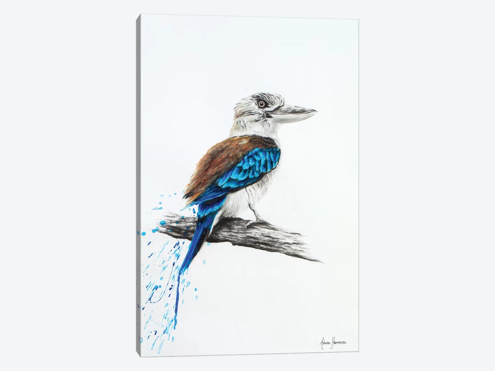 Blue Kookaburra 1-piece Canvas Art