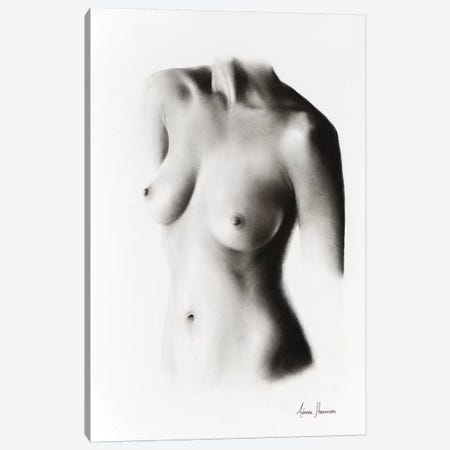 Nude Woman Charcoal Study 58 Canvas Print #VIN152} by Ashvin Harrison Canvas Print