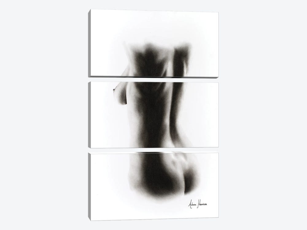 Nude Woman Charcoal Study 60 by Ashvin Harrison 3-piece Canvas Art