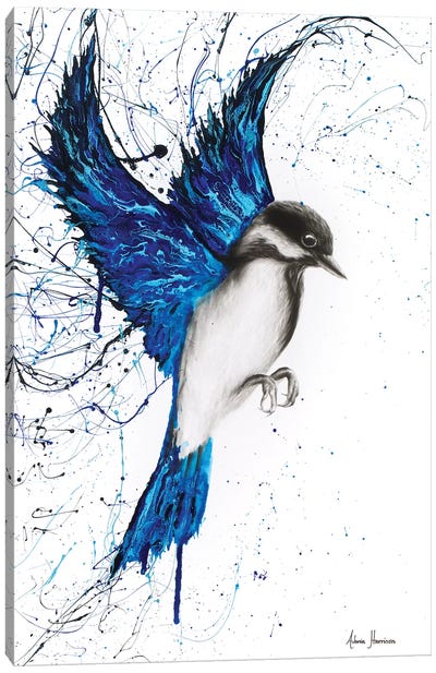 Weekend Dreamer Canvas Art Print - Black, White & Blue Art