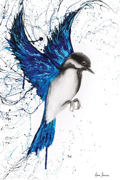 Black & White & Blue: Weekend Dreamer by Ashvin Harrison