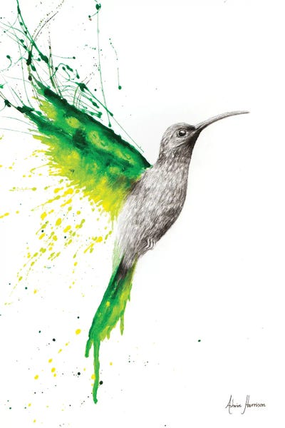 Hummingbirds: Emerald Sun by Ashvin Harrison