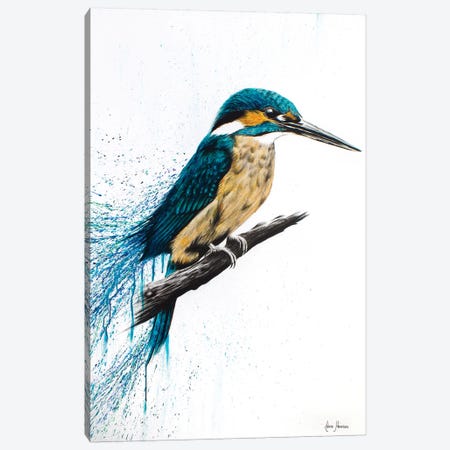 Enlightened Kingfisher Canvas Print #VIN170} by Ashvin Harrison Canvas Art Print