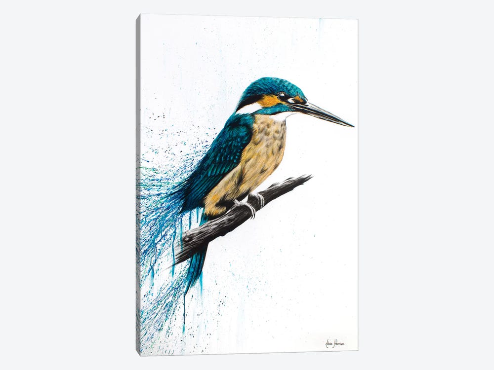 Enlightened Kingfisher by Ashvin Harrison 1-piece Canvas Artwork