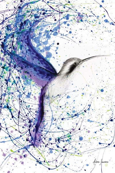 2022 | Very Peri: Bird Garden by Ashvin Harrison