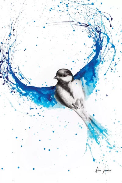 Hyper-Realistic & Detailed Drawings: Bird Of Ballet by Ashvin Harrison
