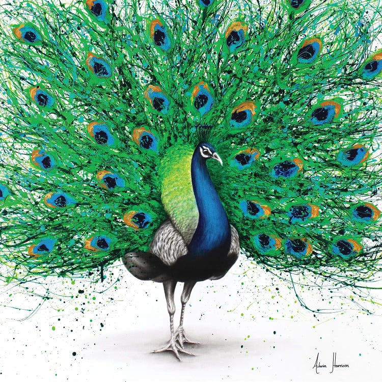 Pavo Pthalo