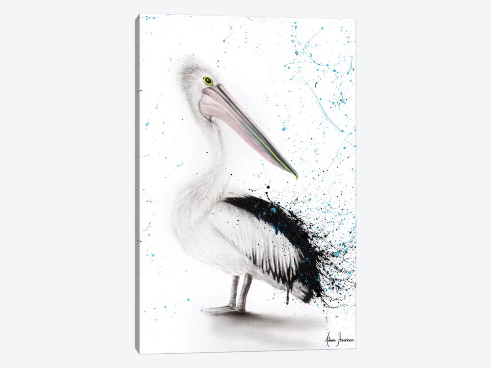 Proud Pelican by Ashvin Harrison 1-piece Canvas Print