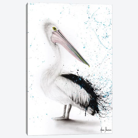 Proud Pelican Canvas Print #VIN197} by Ashvin Harrison Canvas Wall Art