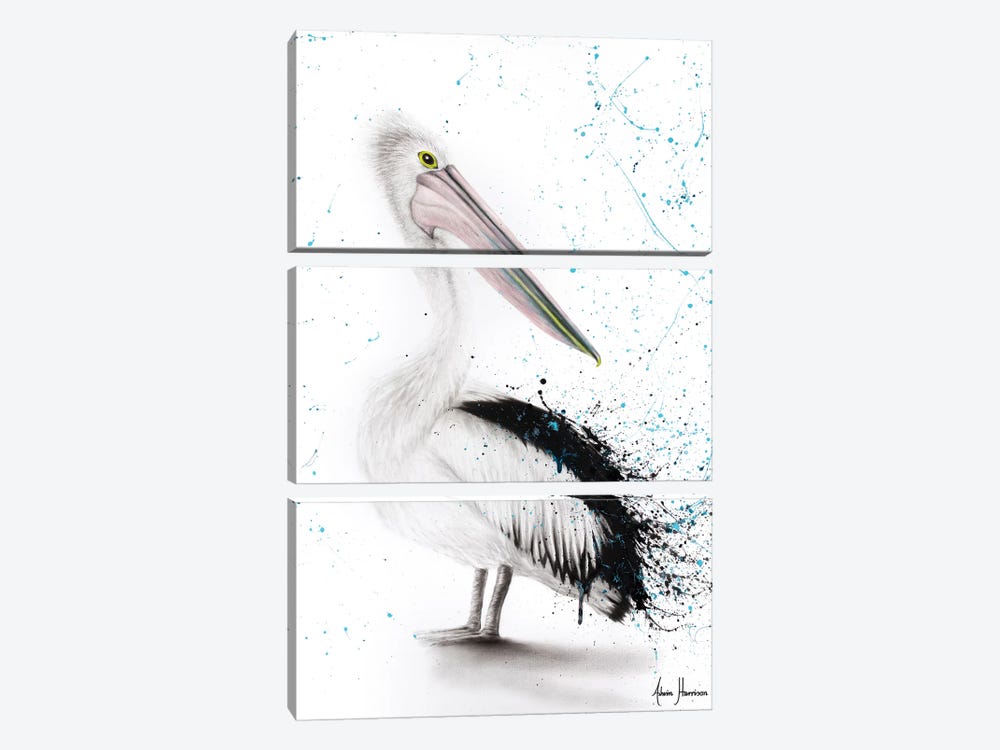 Proud Pelican 3-piece Canvas Print