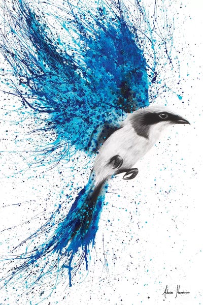 A New Direction by Ashvin Harrison canvas print